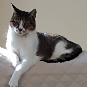 Fundraising Page: Janet Ordway